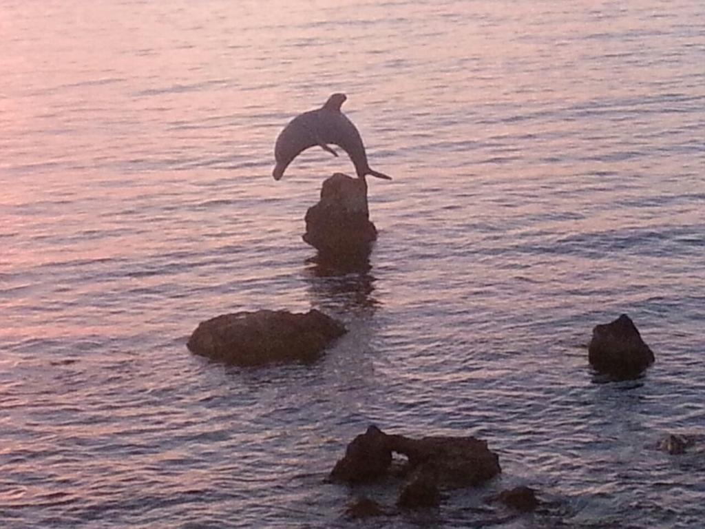 B&B Antica Botte Sassari Exteriér fotografie