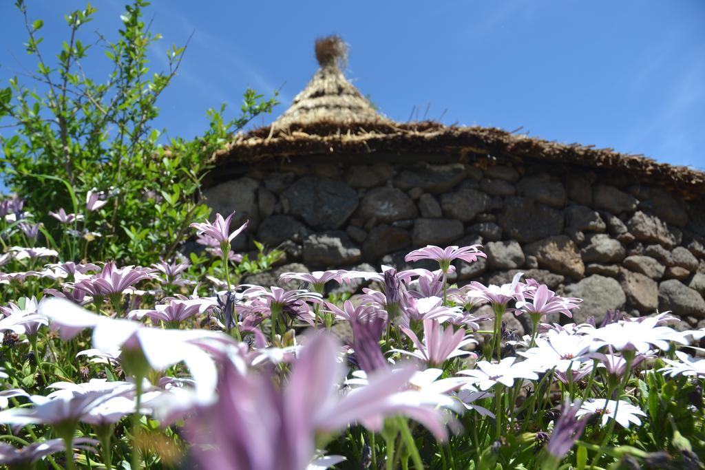 B&B Antica Botte Sassari Exteriér fotografie